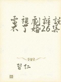 电视剧谁说我结不了婚26集