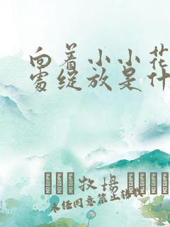 向着小小花蕾深处绽放是什么歌