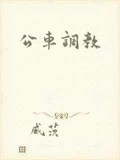 公车调教