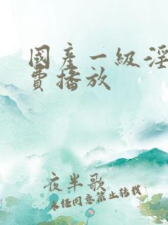 国产一级淫片免费播放