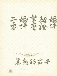 二婚拿结婚证需要什么证件