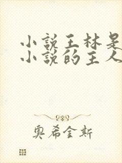 小说王林是哪本小说的主人公