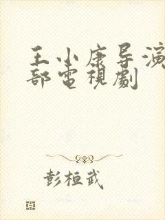 王小康导演的全部电视剧