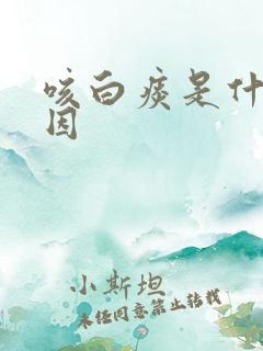 咳白痰是什么原因