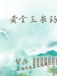 黄金玉米的做法 黄金玉米的做法