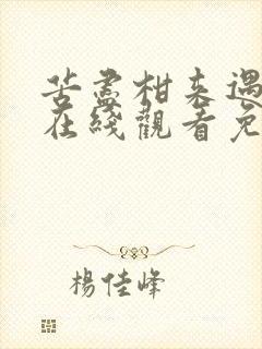 苦尽柑来遇见你在线观看免费版