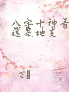 八字十神看天干还是地支