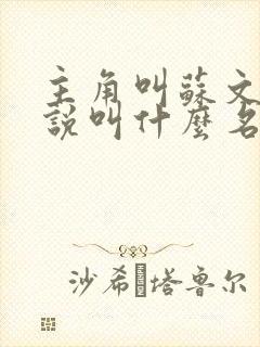 主角叫苏文的小说叫什么名字