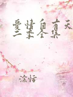 爱情自有天意第二季全集