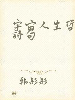 宇宙人生哲理的诗句