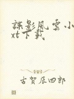 谍影风云小说txt下载