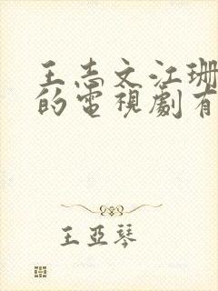 王志文江珊合作的电视剧有哪些