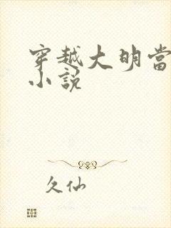 穿越大明当崇祯小说