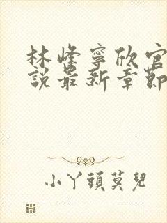 林峰宁欣官场小说最新章节更