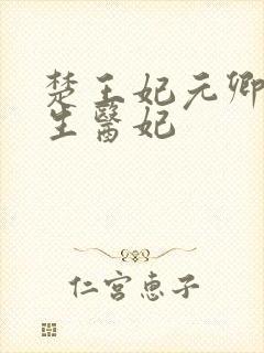 楚王妃元卿凌重生医妃