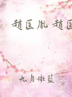 赵匡胤 赵匡义
