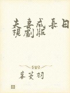 夫妻成长日记电视剧版