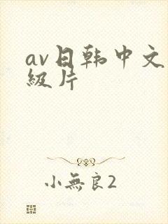 av日韩中文一级片