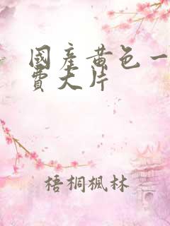 国产黄色一级免费大片