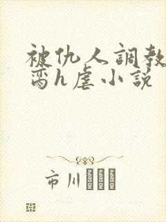 被仇人调教成禁脔h虐小说