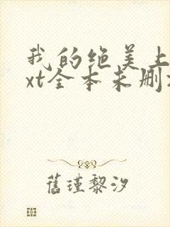 我的绝美上司txt全本未删减下载
