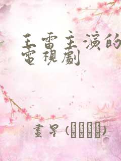 王雷主演的爱情电视剧