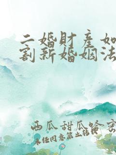 二婚财产如何分割新婚姻法