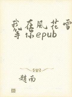 我在风花雪月里等你epub