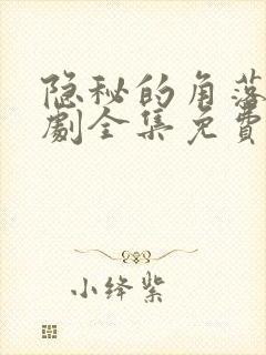 隐秘的角落电视剧全集免费观看完整版
