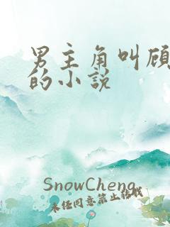 男主角叫顾寒川的小说