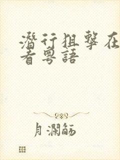 潜行狙击在线观看粤语
