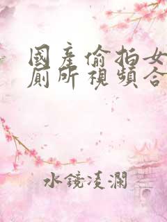 国产偷拍女人上厕所视频合集