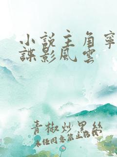 小说主角宁志恒谍影风云