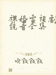 裸婚电视剧免费观看全集