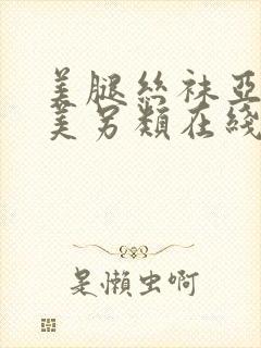 美腿丝袜亚洲欧美另类在线