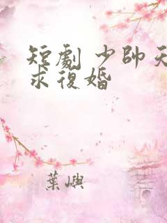短剧 少帅天天求复婚