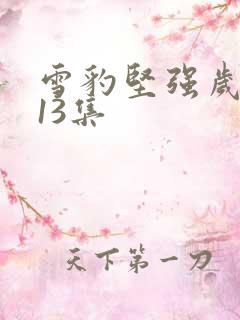 雪豹坚强岁月第13集