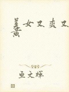 美女又爽又爽又黄