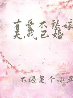 有爱不愁嫁:前夫,我已婚