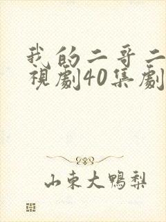 我的二哥二嫂电视剧40集剧情介绍