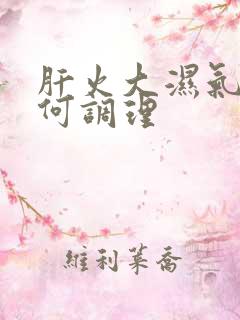 肝火大湿气重如何调理