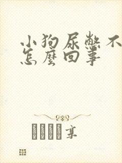 小狗尿憋不住是怎么回事
