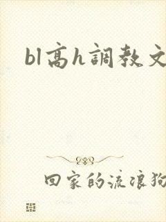 bl高h调教文