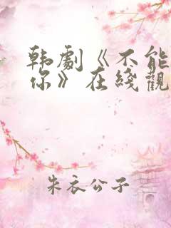 韩剧《不能没有你》在线观看