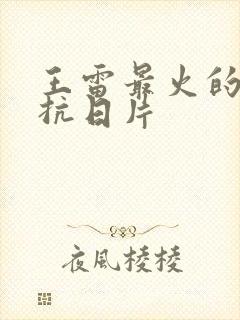 王雷最火的三部抗日片