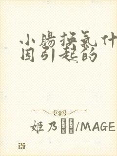 小肠换气什么原因引起的