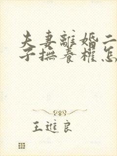 夫妻离婚二个孩子抚养权怎么判定