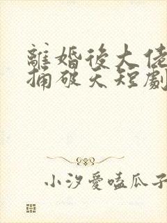 离婚后大佬夫人捅破天短剧