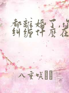 都离婚了,你还纠缠什么在线全文阅读