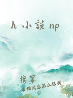 h 小说 np